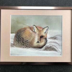 Vos 2, pasteltekening 24 × 30 cm