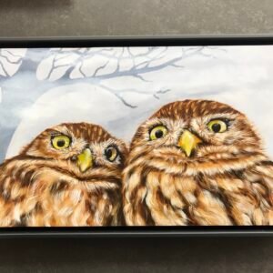 Steenuilen paartje, olieverf 20 × 35 cm