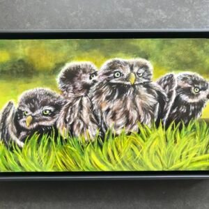 Steenuiltjes, olieverf 20 × 35 cm